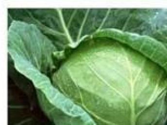 深圳農產品配送服務 便捷生活與健康保障