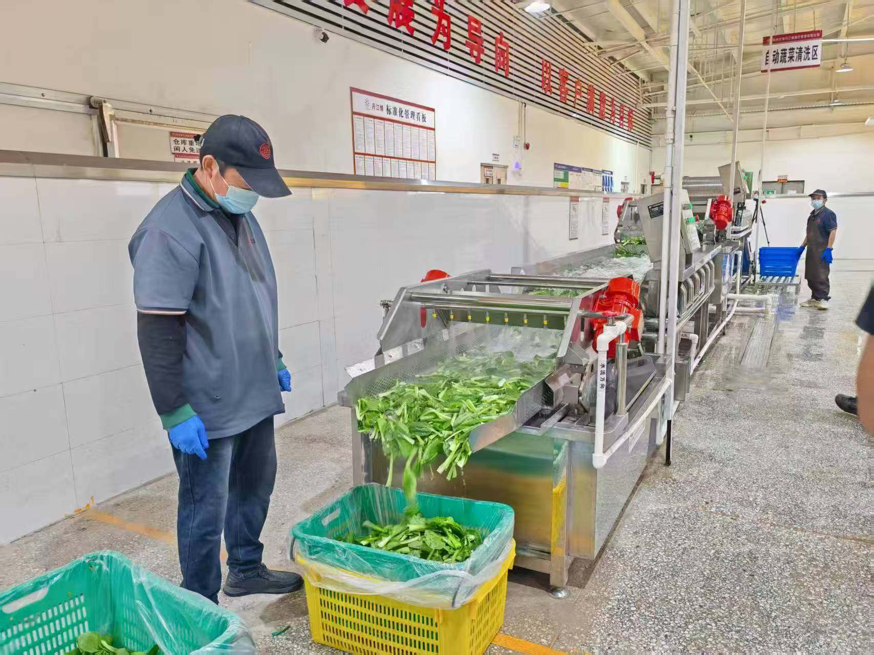 “吃”出生產(chǎn)力 揭秘超級工廠的餐飲管理智慧與農(nóng)產(chǎn)品高效利用