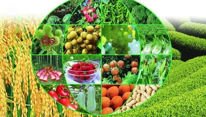 構建農產品追溯標準體系，推進農業全程標準化——七部門聯合部署農產品質量安全新舉措