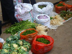 紅河農產品信息網 打造高原特色農產品“云端”新窗口