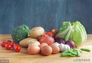 同源不同產 解析農產品產量差異背后的三大關鍵原因