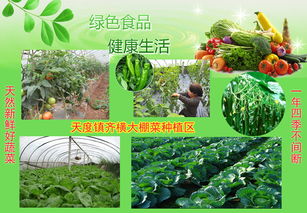 農產品信息發布 連接產銷，賦能現代農業